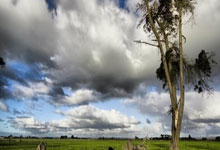 QS SPORTS-包含转折点！巴塞罗那主帅复盘；意大利杯今晨攻防权衡；目标明确；医务组通报恢复的词条